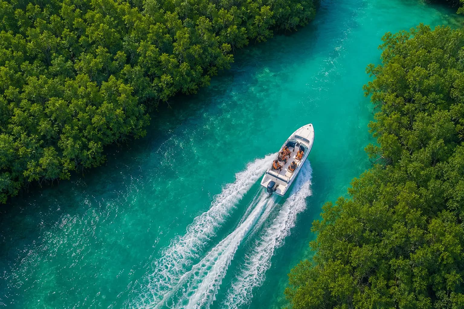 Mangrove boating and backwater cruises